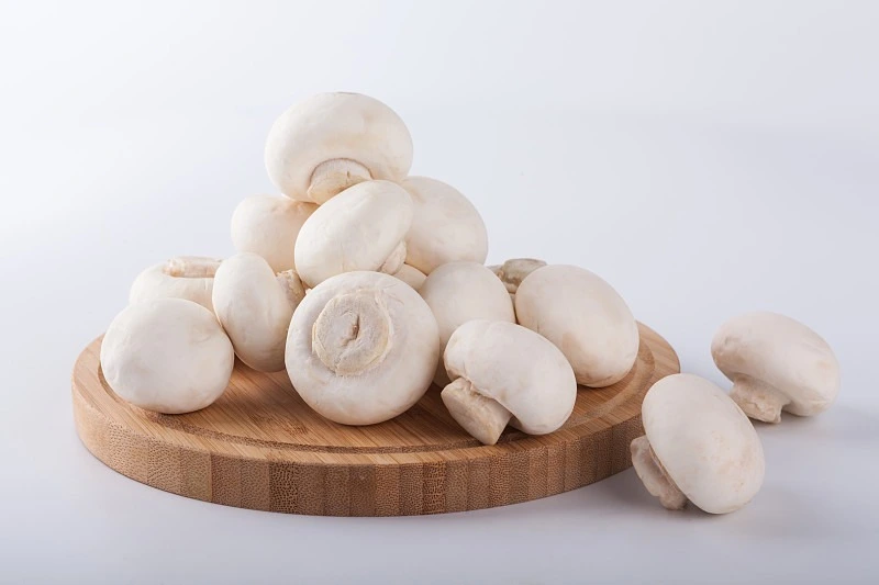 button mushroom fresh button mushroom fresh