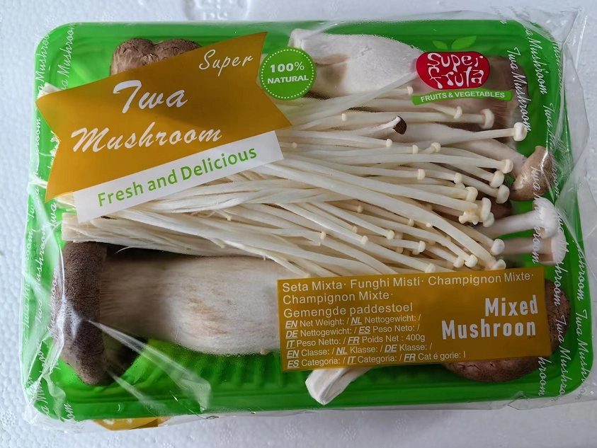 mixed mushrooms mixed mushrooms