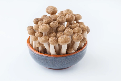 black shimeji mushroom