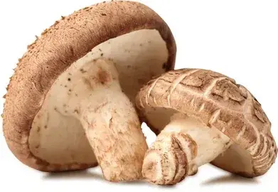 fresh organic shiitake mushrooms