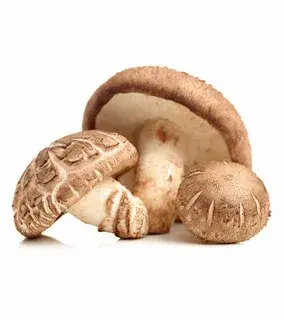 mushroom shitake fresh