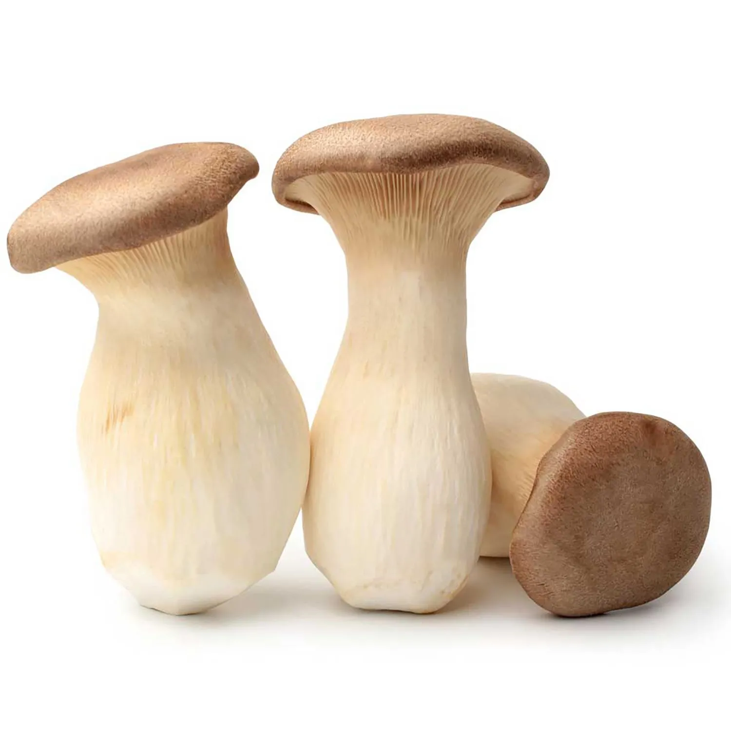 delivery king oyster mushroom 200g delivery king oyster mushroom 200g