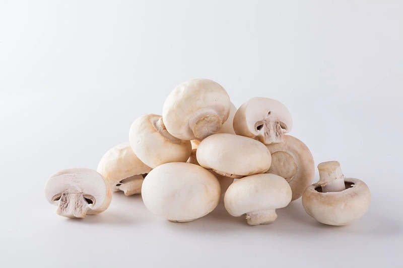 fresh bowl button mushroom