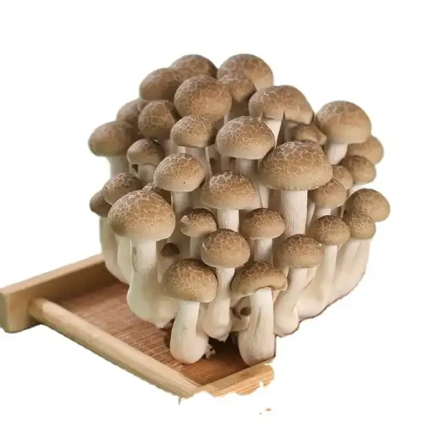 crab flavored mushroom
