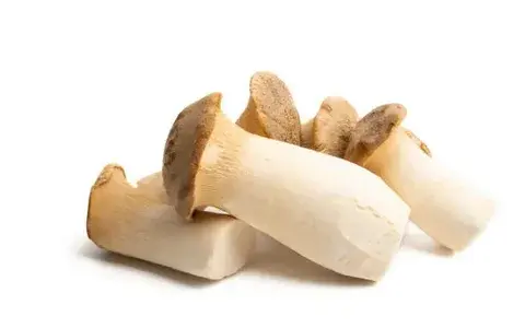 eryngii mushroom eryngii mushroom