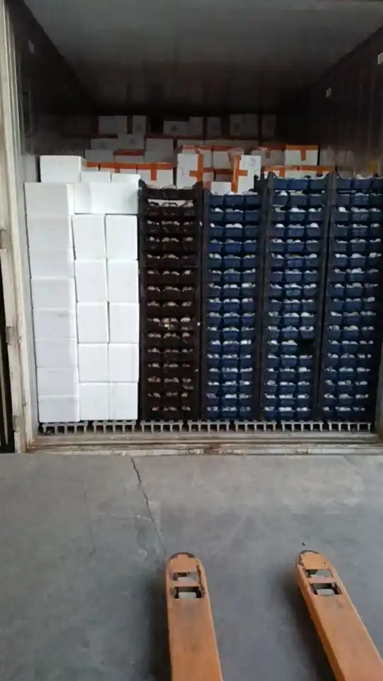 delivery eryngii mushroom