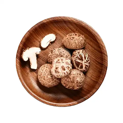 fresh shiitake mushroom