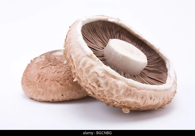 fresh portobello mushrooms