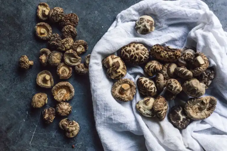 shiitake mushrooms dried shiitake mushrooms dried