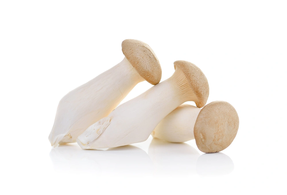 eryngii mushroom