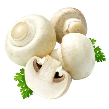 fresh white button mushrooms