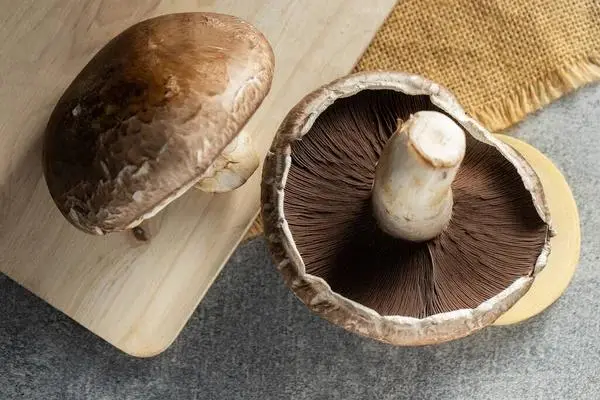 fresh portobello mushrooms fresh portobello mushrooms