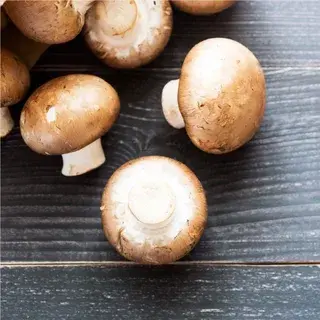 Swiss brown mushroom Swiss brown mushroom