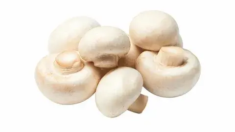 fresh white button mushrooms
