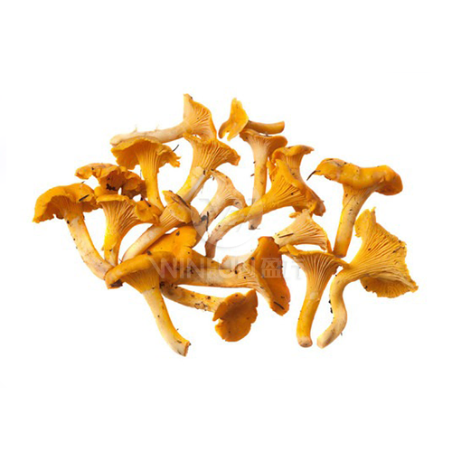 fried chicken mushrooms fried chicken mushrooms