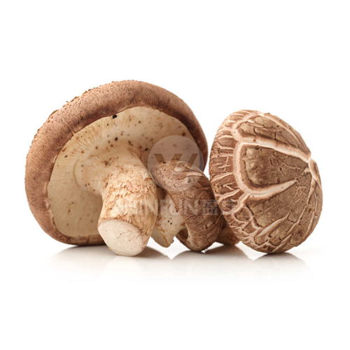 shitake fresh shitake fresh