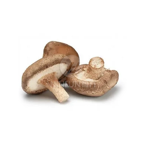 shiitake japanese mushrooms shiitake japanese mushrooms