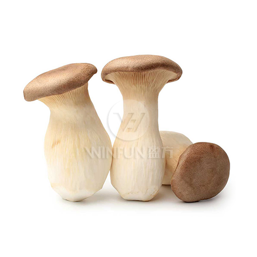 king oyster mushroom 200g king oyster mushroom 200g