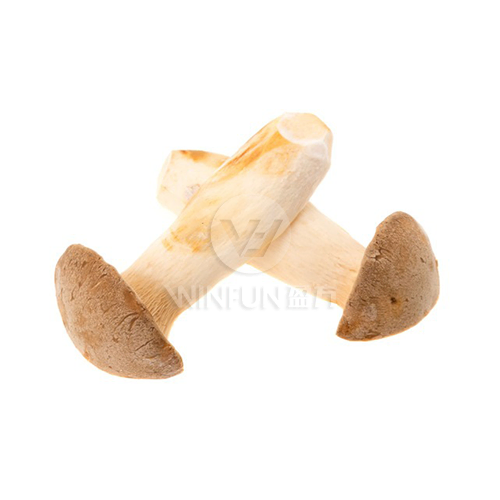 Eryngli mushroom Eryngli mushroom